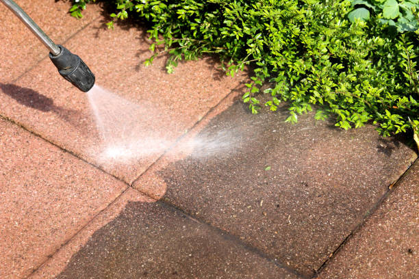 Best Sidewalk Pressure Washing  in Wabasso Beach, FL